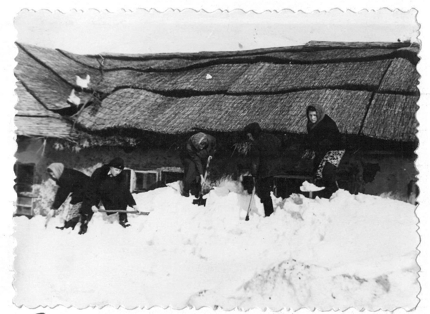 Дети на уборке снега вокруг фермы